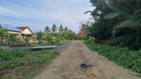 IMG-20261013-WA0050